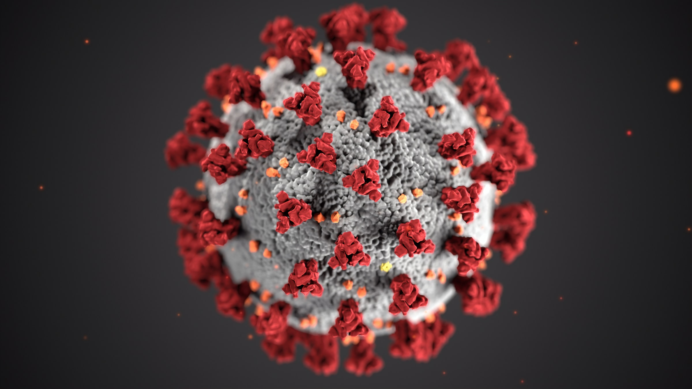 cdc-w9KEokhajKw-unsplash cdc-w9KEokhajKw-unsplash